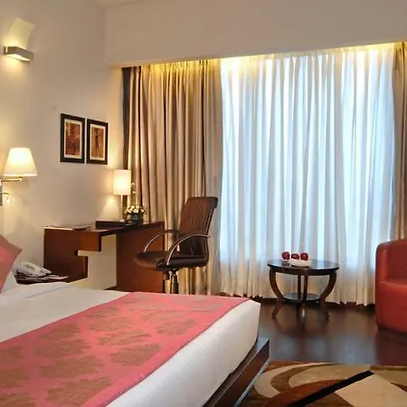 Hotel Sewa Grand Faridabad-2