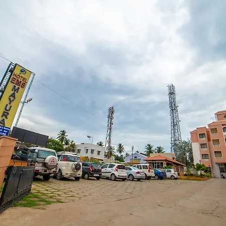 Hotel Ems Mayura-3