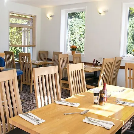 The White Heron-2