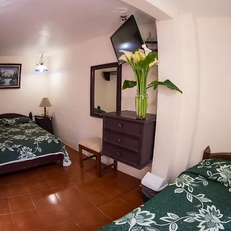 Hotel posada casa regia-3