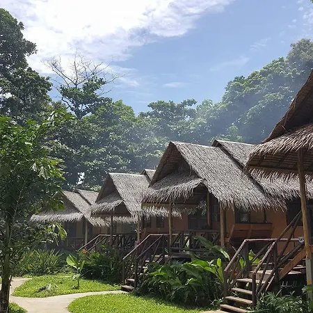 Jungle Garden-3