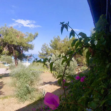 Rainbow Bay Ozdere Nature And Beach Hotel-3
