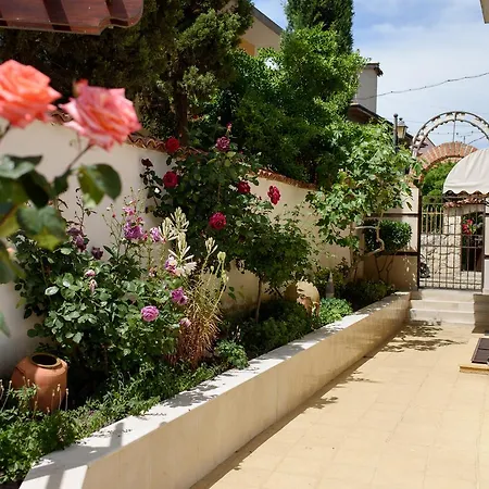 Guest House Ianis Paradise-2
