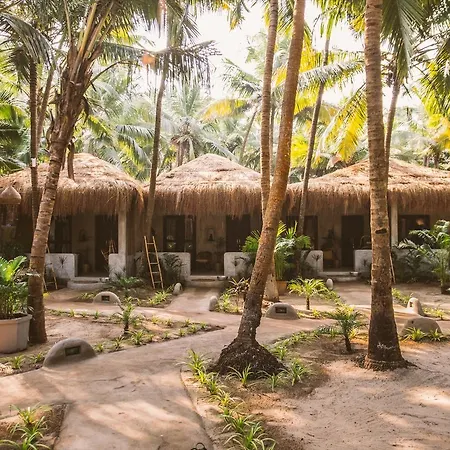 Palm Grove Beach Resort-3