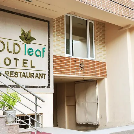 Gold Leaf Hotel-3