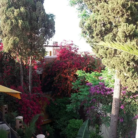 Riad Malika-3