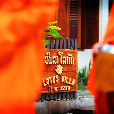Lotus Villa-3