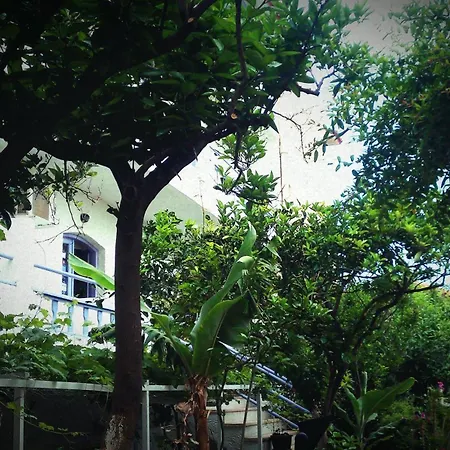 Neon Hotel-2