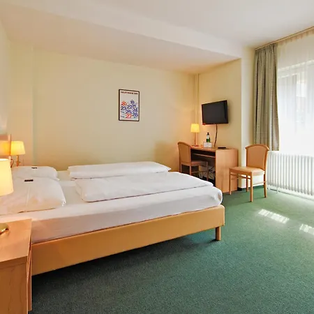 Hotel Wiking-3