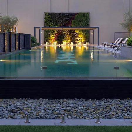 Damac Maison Cour Jardin-2