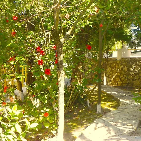 Mirabelle Hotel-3