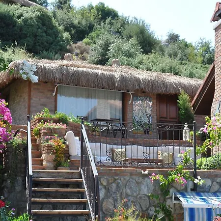 Badem Tatil Evi-3