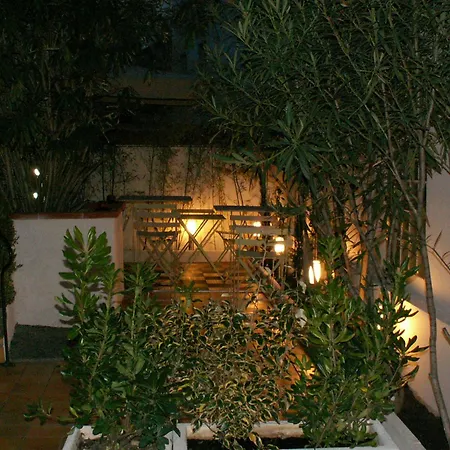 Hôtel Alizé-3