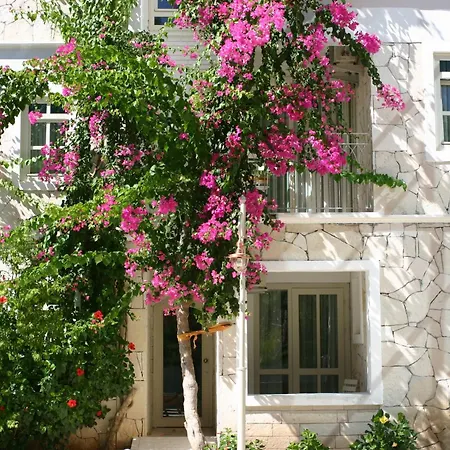 Petunya Konak Boutique Hotel-3