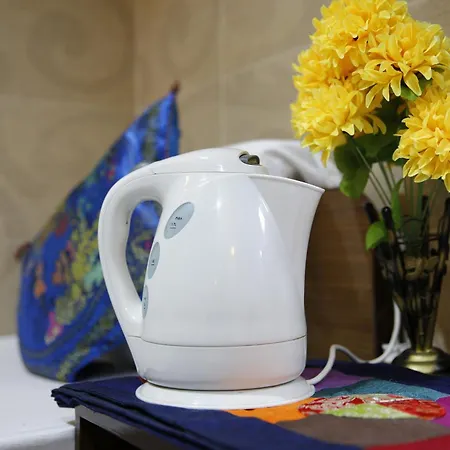 Sandhu Guest House-3