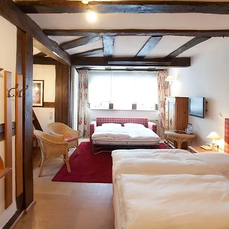 Hotel Karpfen-3