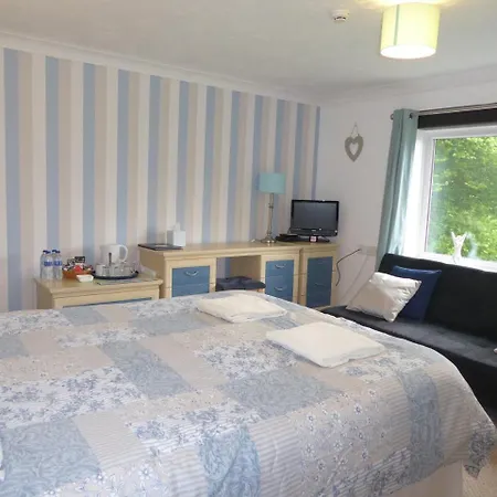 Neuadd Wen Guest House-2