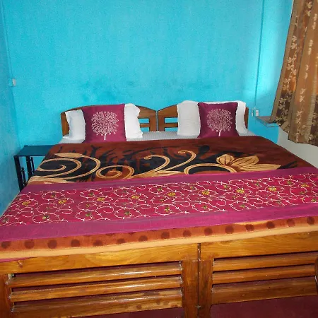 Hotel Raj Mahal-2