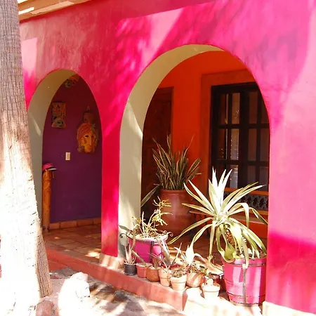 Leo's Baja Oasis-3