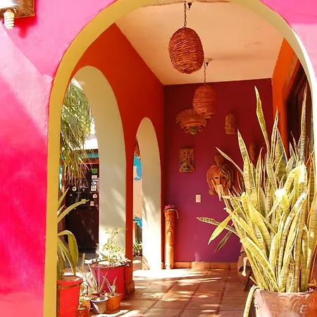 Leo's Baja Oasis-2