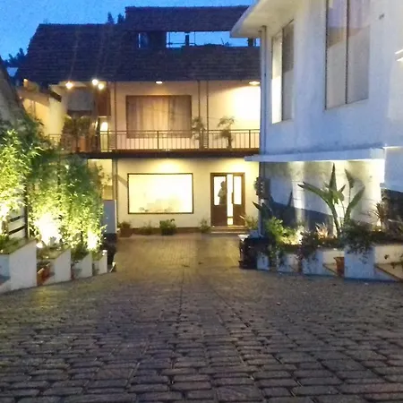 Olives Pleasant Stays-2