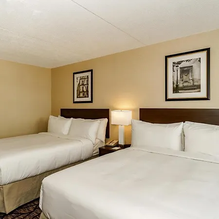 Days Inn By Wyndham Niagara Falls Lundys Lane-3