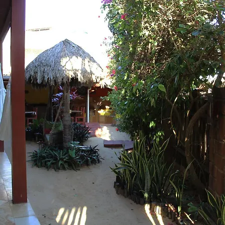 Ibiscus Pousada Sem Cafe-3