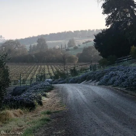 The Eden House Vineyard-3