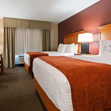 Best Western Plus Deer Park Hotel And Suites-3