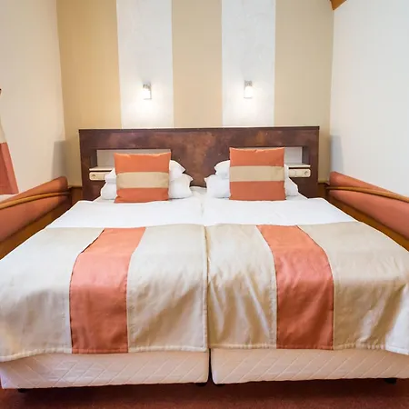 Hotel Spa Heviz-3