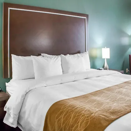 Comfort Inn & Suites San Marcos Near Outlet Mall-3