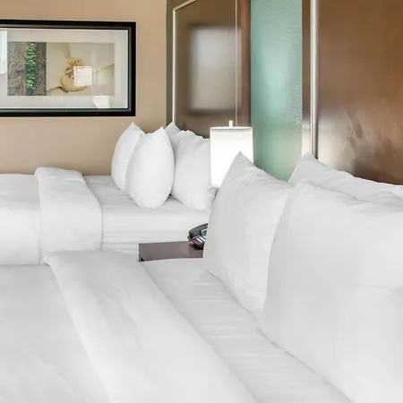 Comfort Inn & Suites San Marcos Near Outlet Mall-2