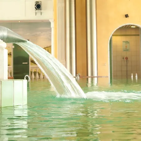 Hotel Birkenhof Therme-2