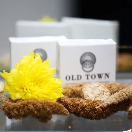 Old Town Hotel-3