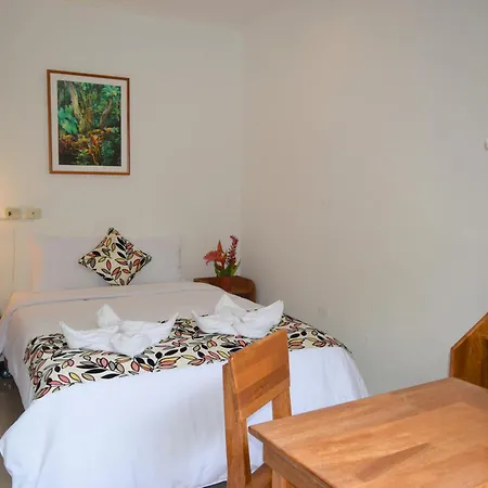 Hotel Jungle House-2