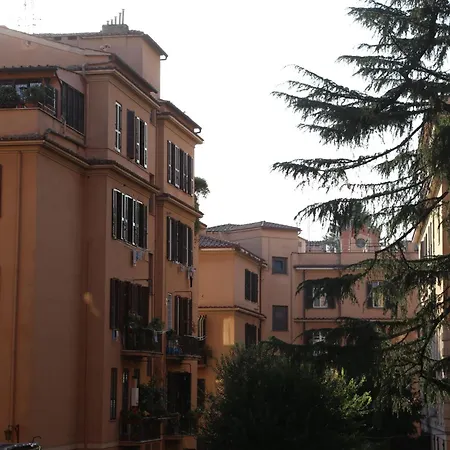 Dhome B&B-3