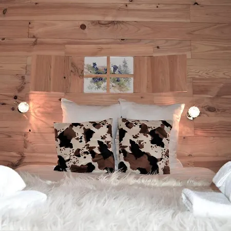 Chalet Saint Bernard-3