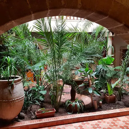 Riad Arambys-3