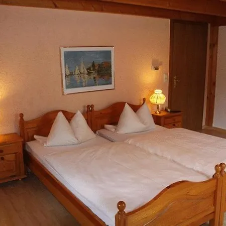 Hotel Alt Ebingen-3