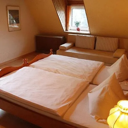 Hotel Alt Ebingen-2