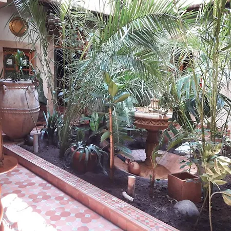 Riad Arambys-3