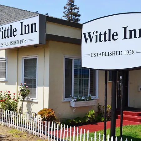 Wittle Motel-3