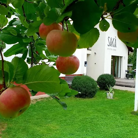 Saka Vacation House-2