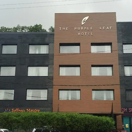 The Purple Leaf Hotels-2