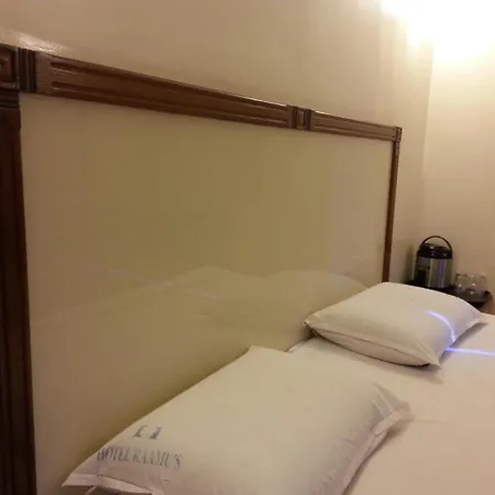 Hotel Raamus-3