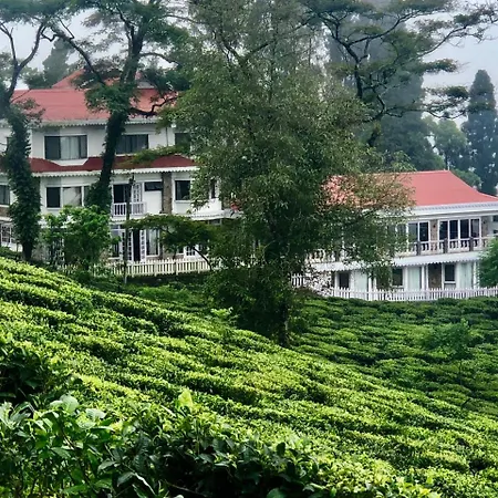 Sourenee Tea Estate-2