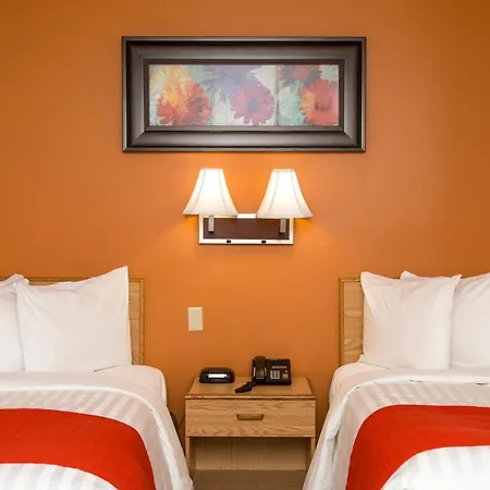 Hotel Robin Hood-3