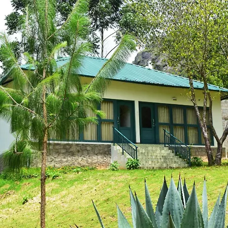 Camp Noel-2