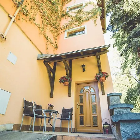 Pension U Stribrneho Jelena-2