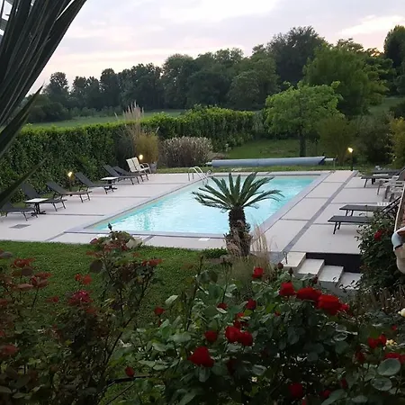 Chambres d'hôtes Les Palmiers de la Cité-3